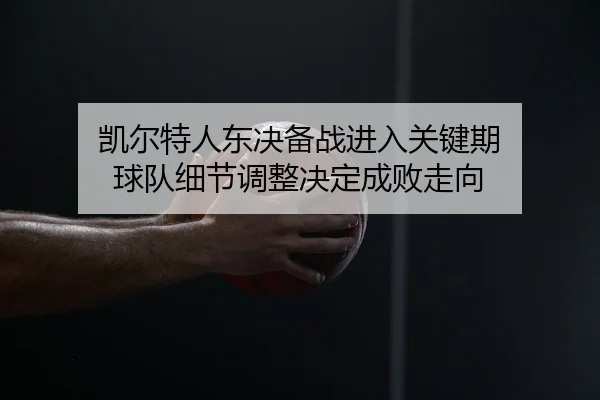 凯尔特人东决备战进入关键期 球队细节调整决定成败走向 - 体育资讯相关报道缩略图
